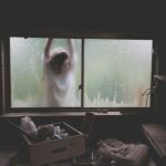 Basement Storage - woman leaning on window