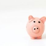 Budget Bathroom - pink pig figurine on white surface