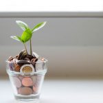 Saving Money - green plant in clear glass cup