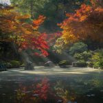 Zen Garden - red and green trees beside river during daytime