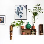 Houseplants Decor - assorted wall decors