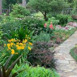 Garden Path - yellow and red flower garden