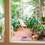 Balcony Garden - green potted plants on brown wooden table