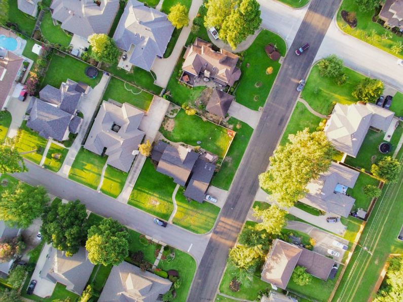 Neighborhood - aerial view of green trees and white flowers